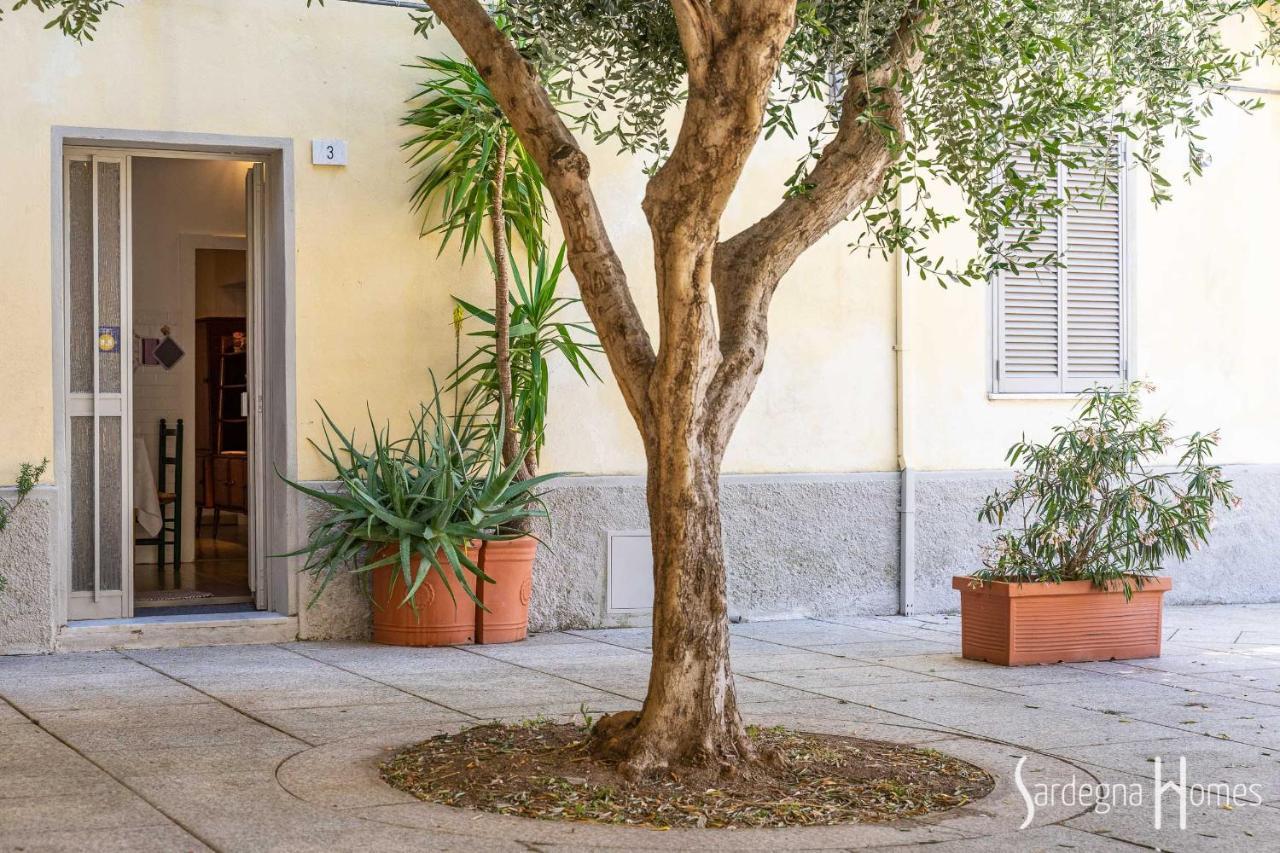 Sardegna Homes Il Glicine Ольбія Екстер'єр фото